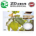organic magnolia bark extract powder manufacturer